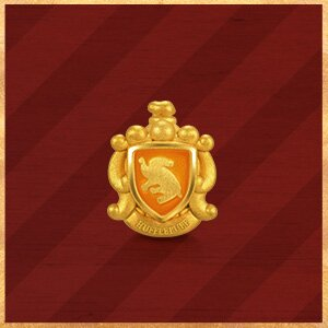 Hufflepuff · صورة المنتج الرسمية 8